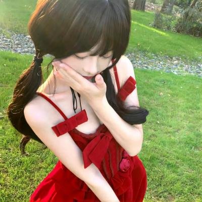 红色翅膀:火烈鸟故事